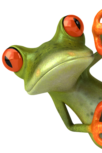 process frog img